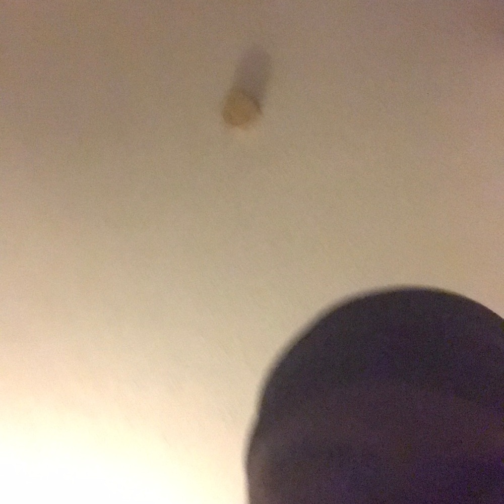 Meet your Posher, Isaiah